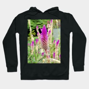 Honolulu Zoo Spires Hoodie